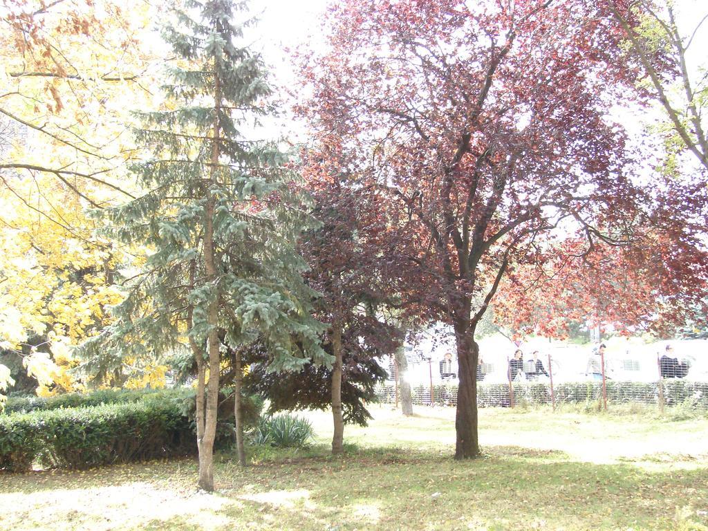 Central City Ap Sibiu Exterior foto